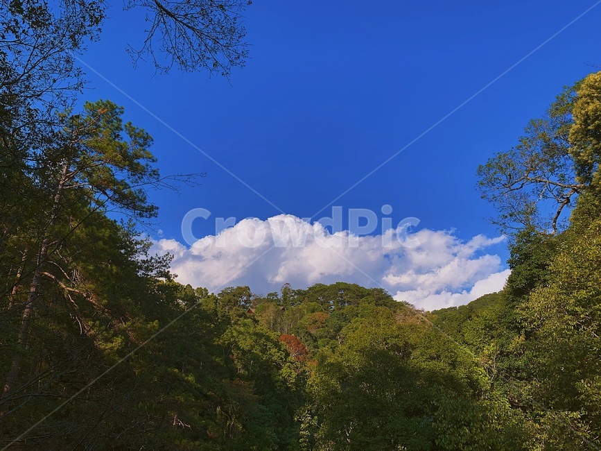 달랏,다딴라폭포,다딴라,산,풍경,자연,nature,outdoors,옥외,weather,날씨