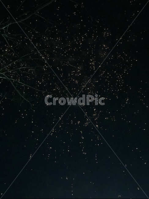 불꽃놀이,불꽃,밤하늘,밤,불똥,야경,밤,풍경,nightscape,night,landscape,nature,자연,outdoors,옥외