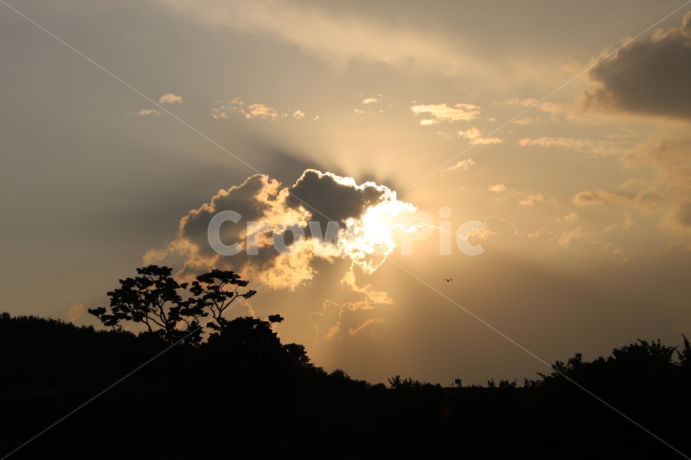 구름,하늘,햇빛,빛,빛갈라짐,플레어,sunlight,flare,light