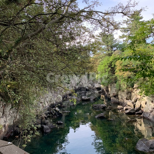 풍경,제주도,계곡,바다,숲