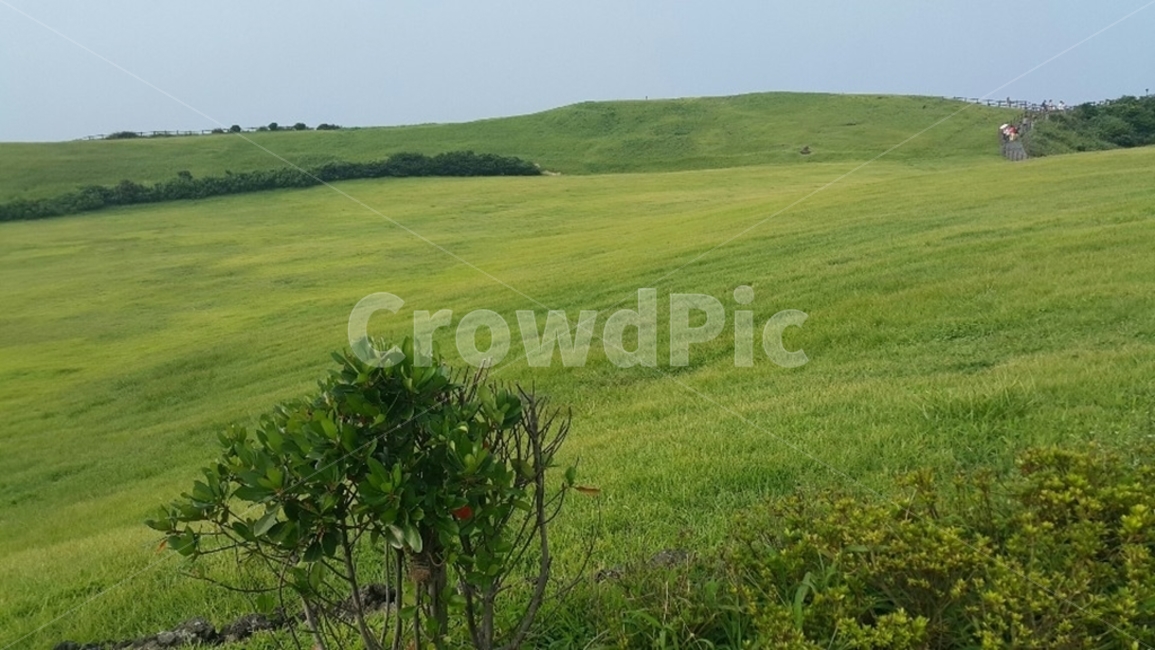제주도,우도,우도봉,오름,산,잔디,풀밭,jejudo,udo,mountain,grass,field,green,자연,풍경,nature,landscape,outdoors,옥외,들,grassland,목초지