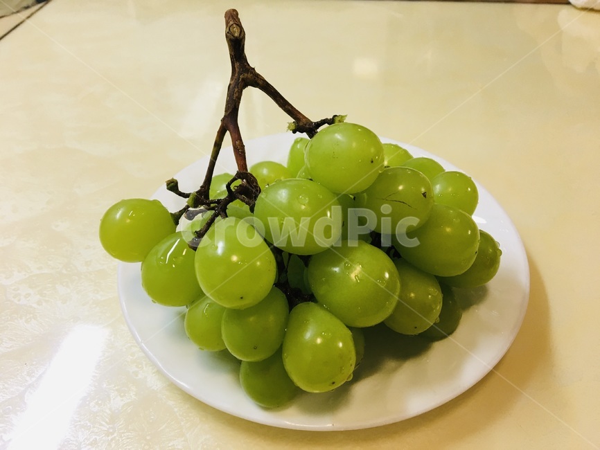 샤인머스캣,과일,디저트,제철음식,food,과일,열매,fruit