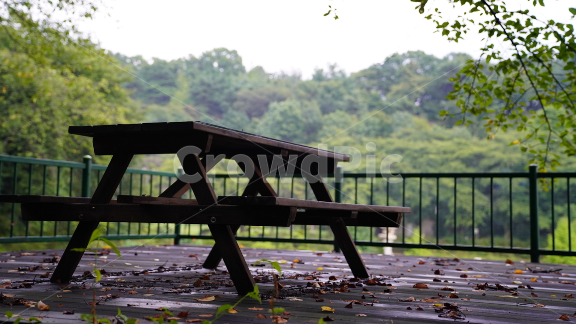 그늘,여름벤치,휴식,수풀내음,나무향,자연,풍경,nature,landscape,bench,벤치,railing,난간