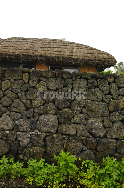 house,제주,돌담집,돌담,지붕,초가지붕,제주도,jeju,jeju island,한국전통,한국문화,korean traditional,korean culture,건축물,건물외관,exterior,building,structure,architecture,construction,wall,벽,outdoors,옥외,nature,자연