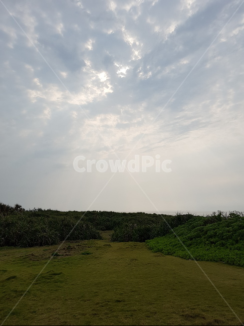 땅,대지,축복의땅,들판,초목,자연,풍경,nature,landscape,outdoors,옥외,grassland,목초지,field,들