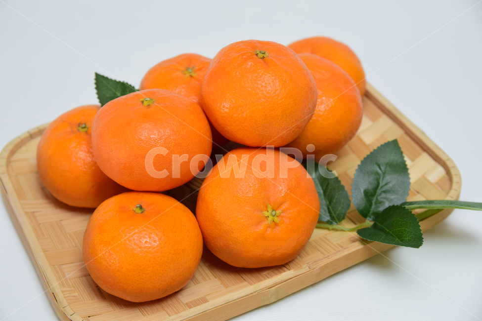 레드향,향기좋은,과일,음식,열매,식재료,디저트,감귤류,주황색,fruit,dessert,food,orange,tangerine,citrusfruit,과일,열매,fruit