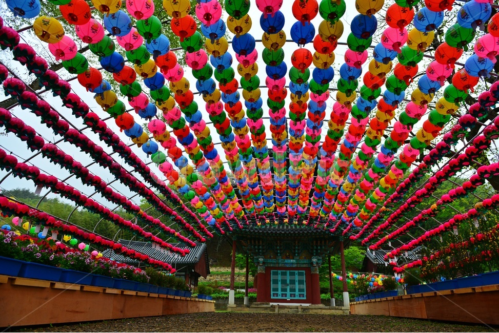 walkway,보도,path,통로,화순,쌍봉사,연등,부처님오신날,초파일,불교,사찰,절