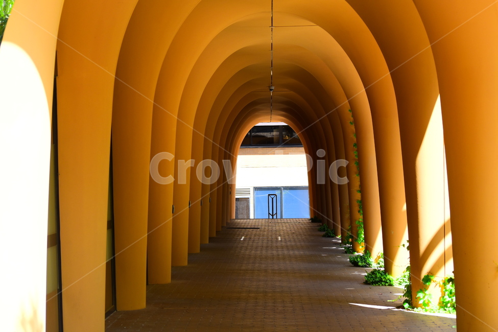 arch,architecture,modern,wall,현대적인,아크,벽,복도,바닥,배경,corridor,flooring,floor,패턴