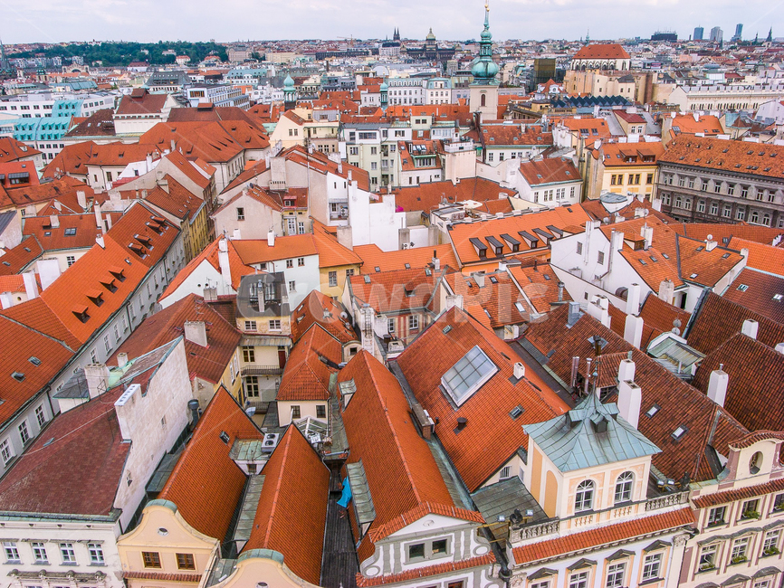 체코,프라하,구시가,전경,czech,praha,빨간지붕,도시,풍경,city,landscape,해외,외국,세계,foreign,oversea,world,세계도시풍경,해외도시풍경,외국도시풍경,world cityscape,roof,지붕,nature,자연,outdoors,옥외,경치