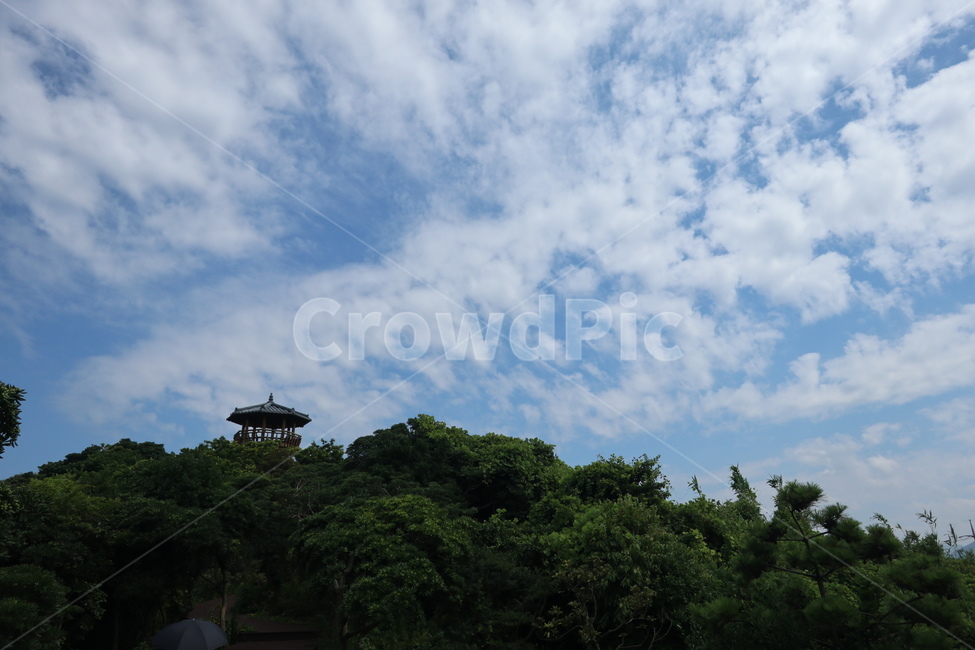 정자,구름,나무,화창,맑은하늘,자연,제주,제주도,jeju,자연,풍경,nature,landscape,outdoors,옥외