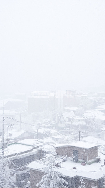 겨울,눈,눈보라,폭풍,자연,snow,winter,storm,nature,koreawinter,blizzard