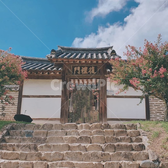 정원,garden,정자,한국의멋,배롱나무,풍경,한국전통,한국문화,korean traditional,korean culture,건축물,건물외관,exterior,building,structure,architecture,construction