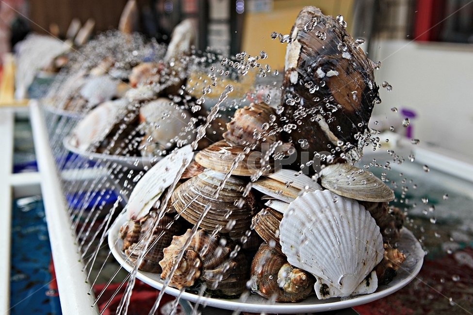 조개,조개살,조개껍데기,식자재,음식,요리,시장,마트,마켓,market,mart,market place,음식,식재료,요리,food,cook,meal,dishes,food reserves,수산물,해산물,fishery products,seafood