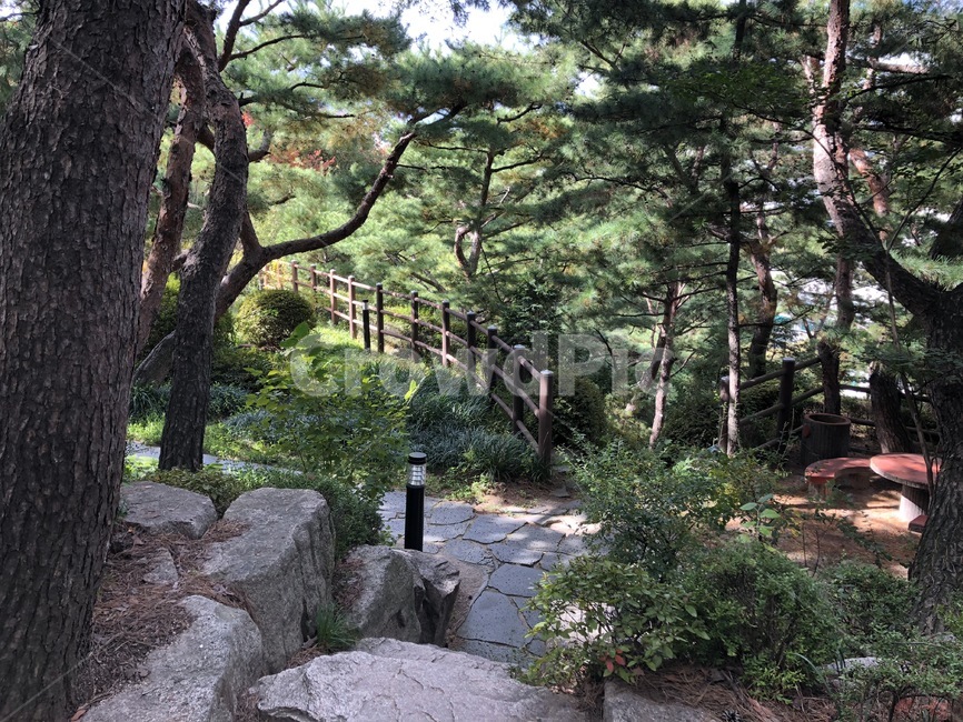 나무,돌,공원,돌계단,울타리,식물,자연,plants,nature,나무,trees,wood