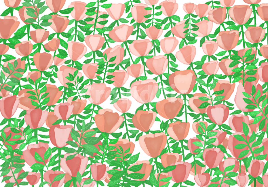 pattern,무늬,꽃,튤립,식물,일러스트,그림,누끼,remove background