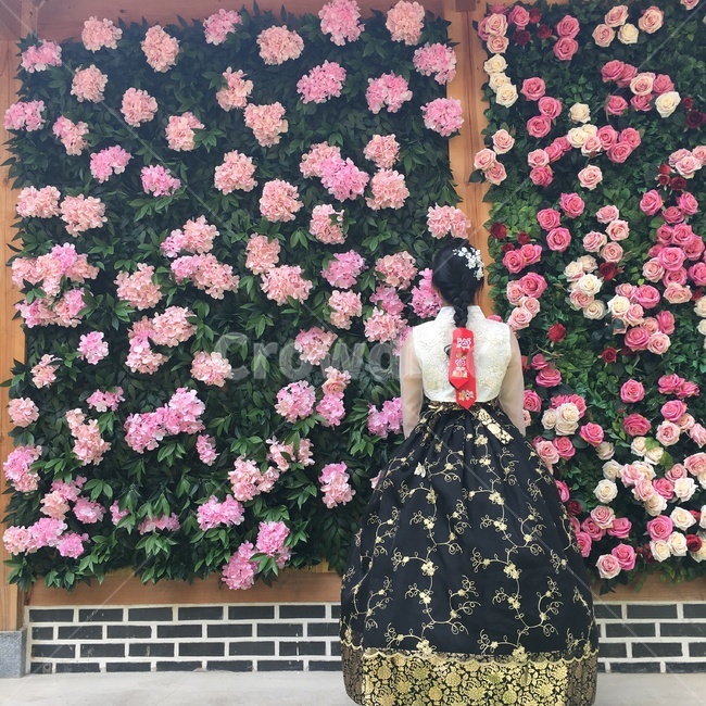 한복,여자,뒷모습,여자뒷모습,한옥마을,전주