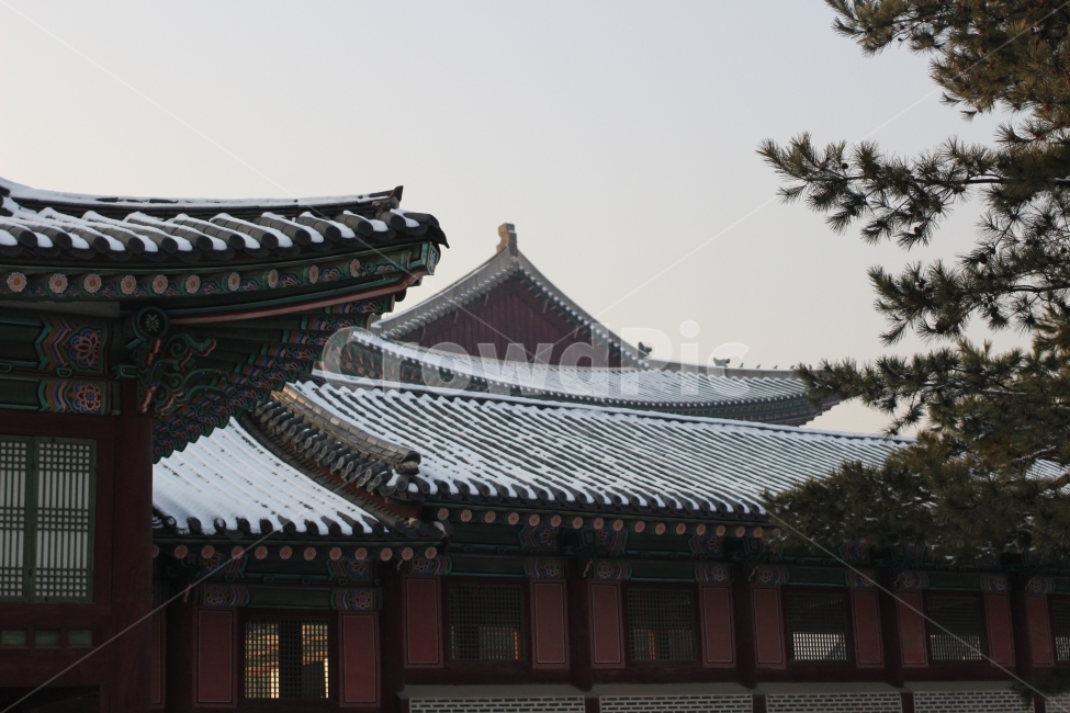 경복궁,눈,궁궐,temple,snow,겨울,계절,winter,season,한국전통,한국문화,korean traditional,korean culture,랜드마크,landmark,tourist attraction,한국랜드마크,한국관광지,한국명소,korea landmark,korea tourist attraction