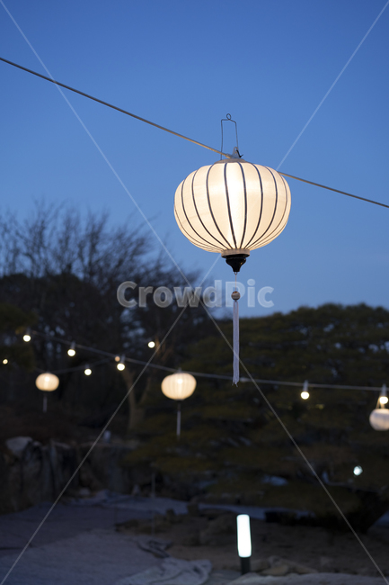 전등,등,야외등,정원,점등,야경,밤,풍경,nightscape,night,landscape