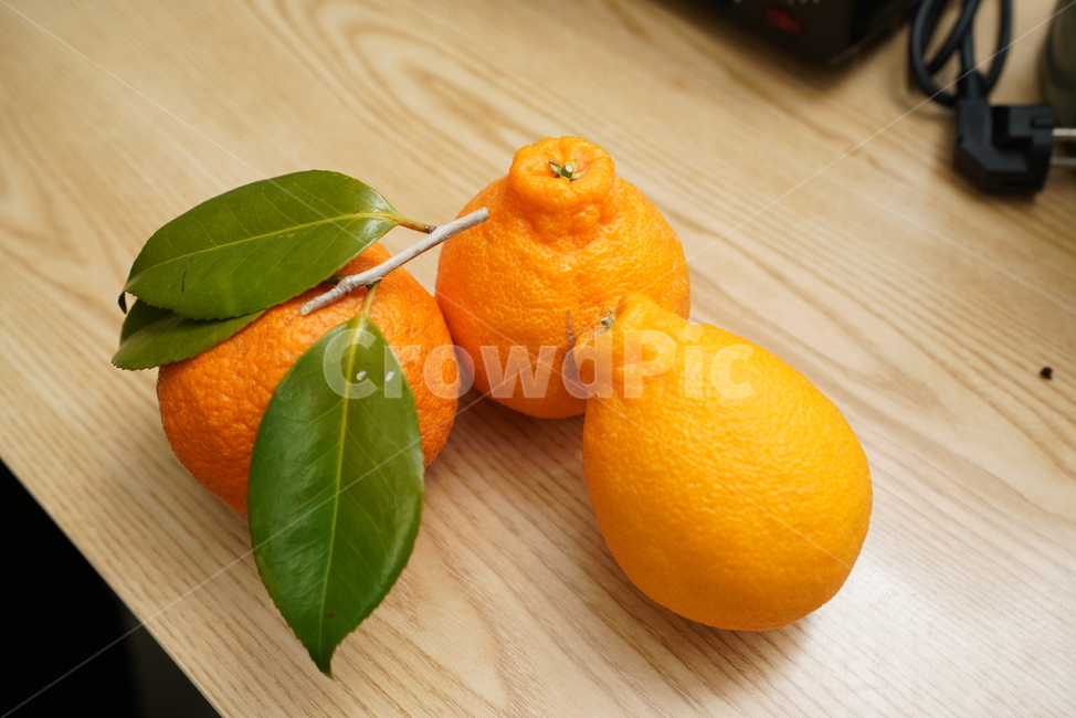 과일,한라봉,fruit,주황색,후식,컬러,orange,감귤류과일,식물,음식,food,음식,식재료,요리,food,cook,meal,dishes,food reserves,과일,열매,fruit