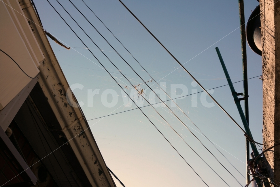 sky,a piano score,C major solo,spider,electric wire