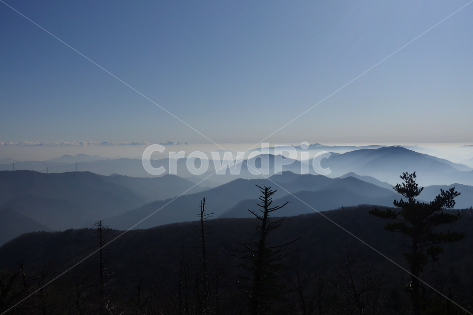 산,자연,옥외,발왕산,정상,운무,안개,실루엣,몽환적인,nature,outdoors,mountain,풍경,자연,풍경,nature,landscape
