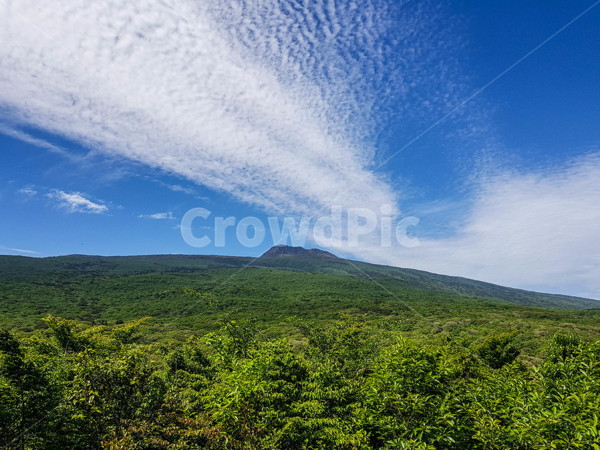 하늘,감성,휴식,힐링,구름,푸른,맑음,자연,nature,emotion,sky,cloud,blue,sunny,healing,rest,제주,제주도,jeju,여행,trip,경치,landscape,햇빛,sunshine,한라산,hallasan
