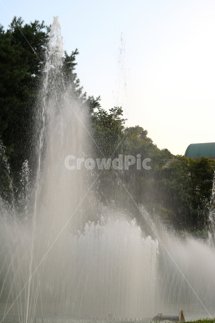 분수,분수대,물,공원,예술의전당,나무,소나무,자연,풍경,nature,landscape,water