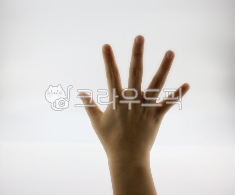 다섯개,손,손가락,다섯손가락,finger,human,person,사람,인간
