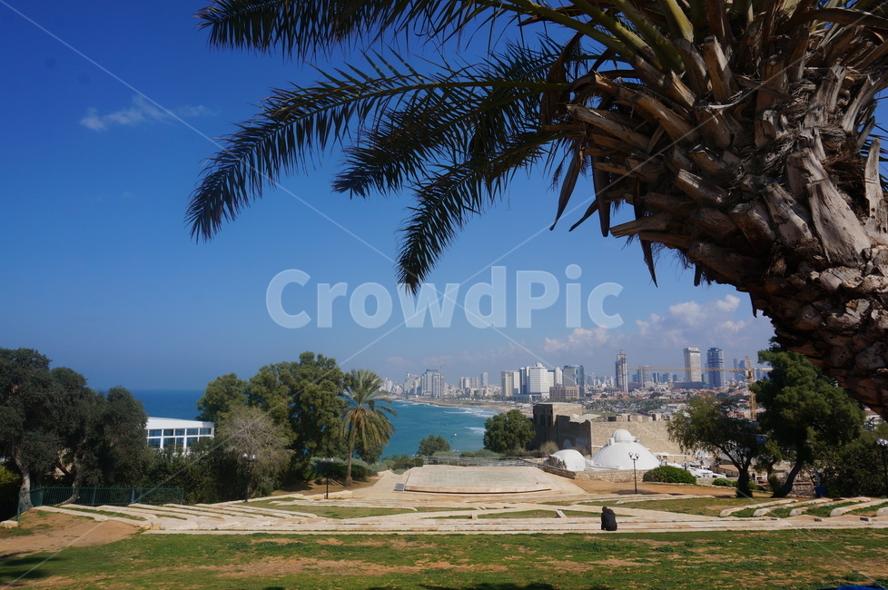 이스라엘,성지,순례,텔아비브,올드자파,올드야파,자파,야파,성지순례,israel,telaviv,jaffa,oldjaffa,도시,풍경,city,landscape,해외,외국,세계,foreign,oversea,world,세계도시풍경,해외도시풍경,외국도시풍경,world cityscape,summer,여름