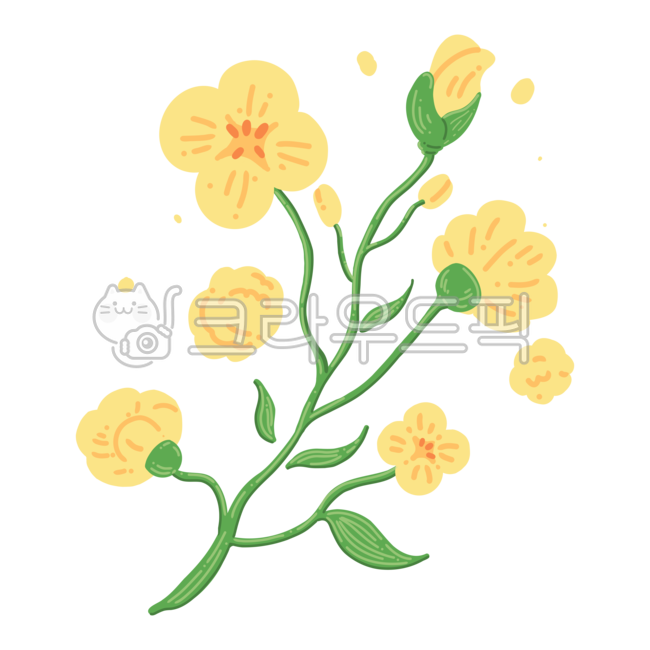 pretty,Rape flower painting,flower painting,Forsythia painting,spring flower illustration,jeju island,cute,flower,spring,spring flowers,beautiful,Cute illustrations,Forsythia illustration,Jeju Island Flowers,season,Rape flower illustration,Jeju Island ele