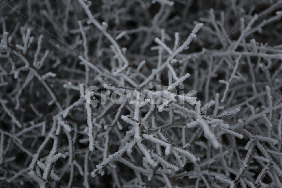 한라산,제주도,산,상고대,자연,숲,겨울,눈,눈꽃,snow
