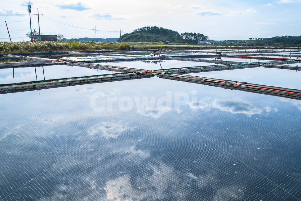 서해바다,염전,안면도,소금,태안반도,반영,구름,salt,saltpond,서해