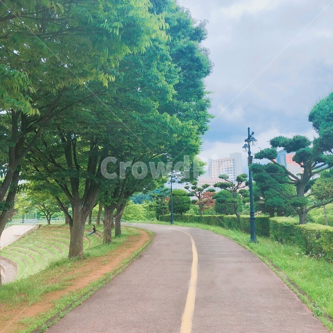 산책,풍경,일상,나무,길,자연,풍경,nature,landscape,outdoors,옥외,arbour,정자,garden,정원