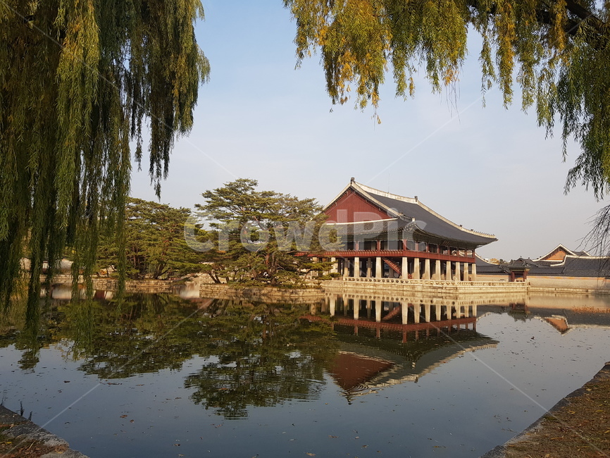nature,자연,경회루,한국전통,korean,architecture,tradition,koreantraditionalarchitecture,호수,궁,palace,wooden,tree,건축물,전통건축,한국건축,한국전통건축,조선시대,joseondynasty,조선왕조,outdoors,물,옥외,한국전통,한국문화,korean traditional,korean culture,건축물,건물외관,exterior,building,structure,architecture,construction