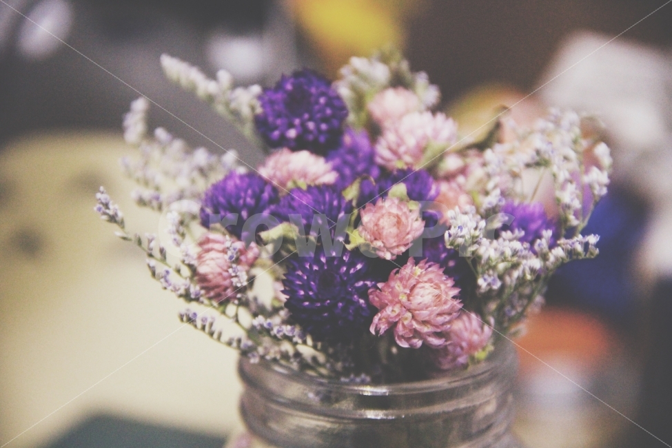 꽃,드라이플라워,아름다움,색감,분위기,감성,방,사진,식물,자연,plants,nature,꽃,flower,실내용화초,화분,화초,house plant,감성,sensible,feeling