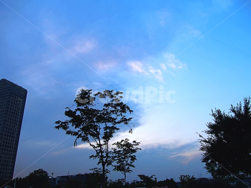 서울,한강,여의도,풍경,휴식,자연,풍경,nature,landscape,outdoors,옥외,silhouette,실루엣