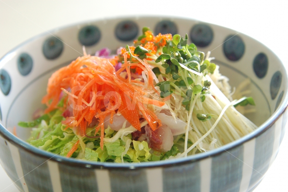 비빔밥,야채,야채비빔밥,그릇,한식,음식,상추,당근,나물,채소,밥,한국전통,한국문화,korean traditional,korean culture,음식,식재료,요리,food,cook,meal,dishes,food reserves,채소,야채,vegetables,한식,한국음식,한국요리,korean food,korean dishes,korean meal,korean cook