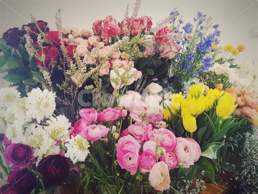 꽃,꽃집,알록달록,flower,장미