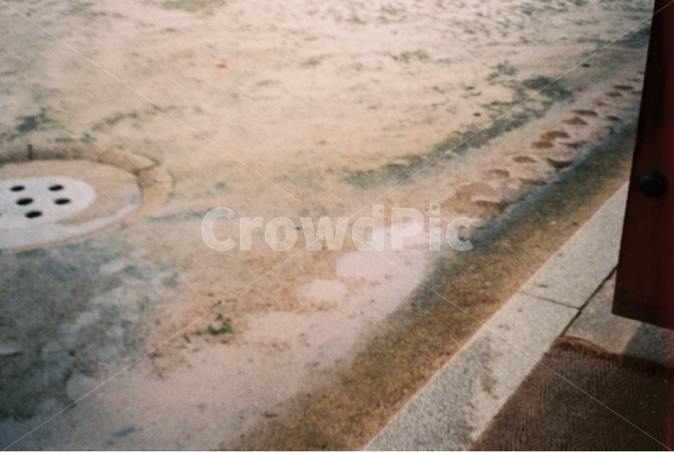 창경궁,서울,비,물,웅덩이,seoul,rain,water,비,비오는날,rain,rainy