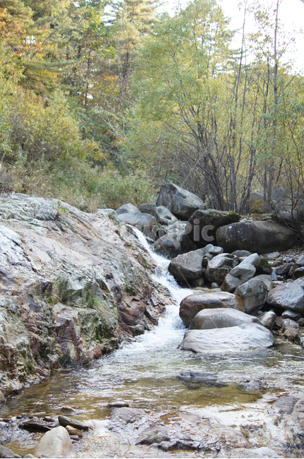 강원도,계곡,가을,단풍,가을산,자연,물,자연,풍경,nature,landscape