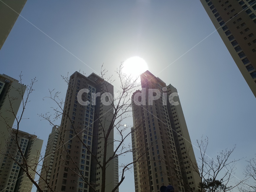 헬리오시티,늦은오후,오후,아파트,도심,도시,풍경,city,landscape,한국도시풍경,한국도시경관,korea cityscape,flare,플레어,light,빛,office building,사무실 건물,building,건물