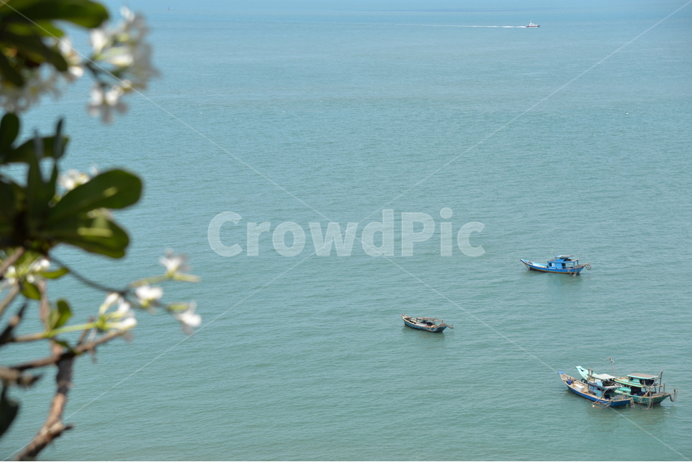 바다,해변,sea,beach,나무,산업,industry,industrial,어업,fishery,fishing industry