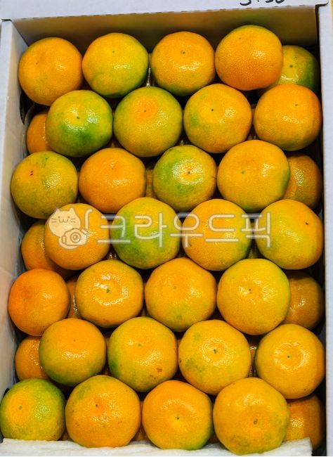 mandarin,Sweet and sour,citrus fruits,fruit,yellow,box,Orange,delicious,food,open field tangerines,tangerines,citrus,orange,house tangerines,autumn,Jeju tangerines,Tangerine Box,Tangerine box