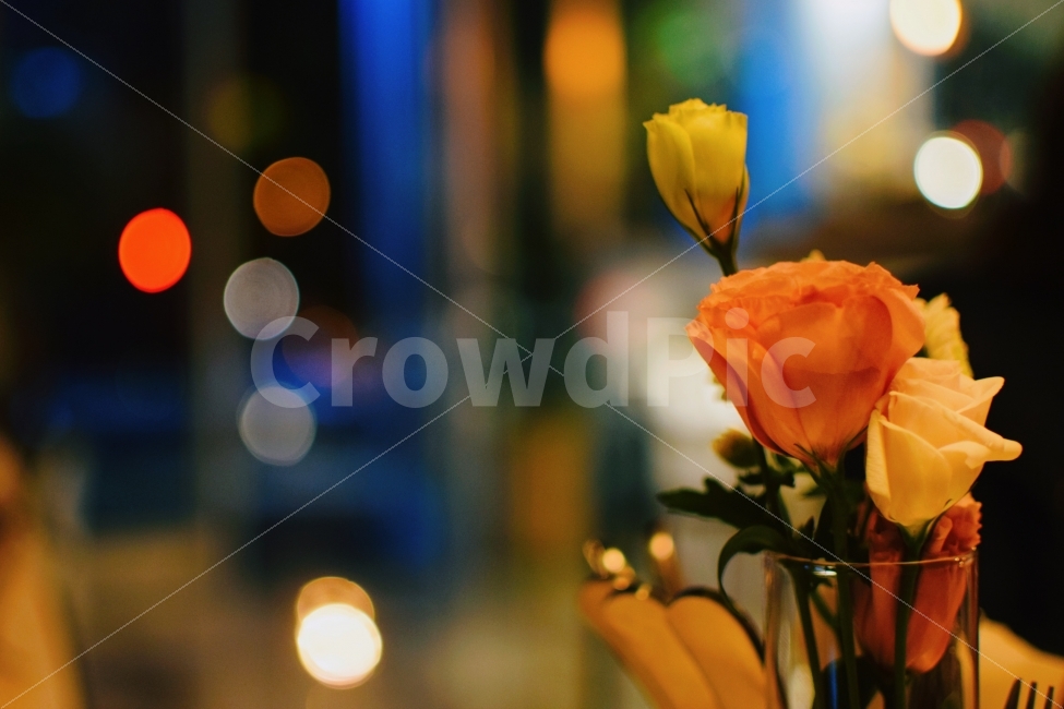 꽃,장미,바,로맨틱,꽃병,식물,자연,plants,nature,꽃,flower,감성,sensible,feeling
