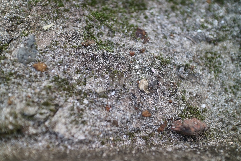 땅,흙,진흙,ground,soil,earth