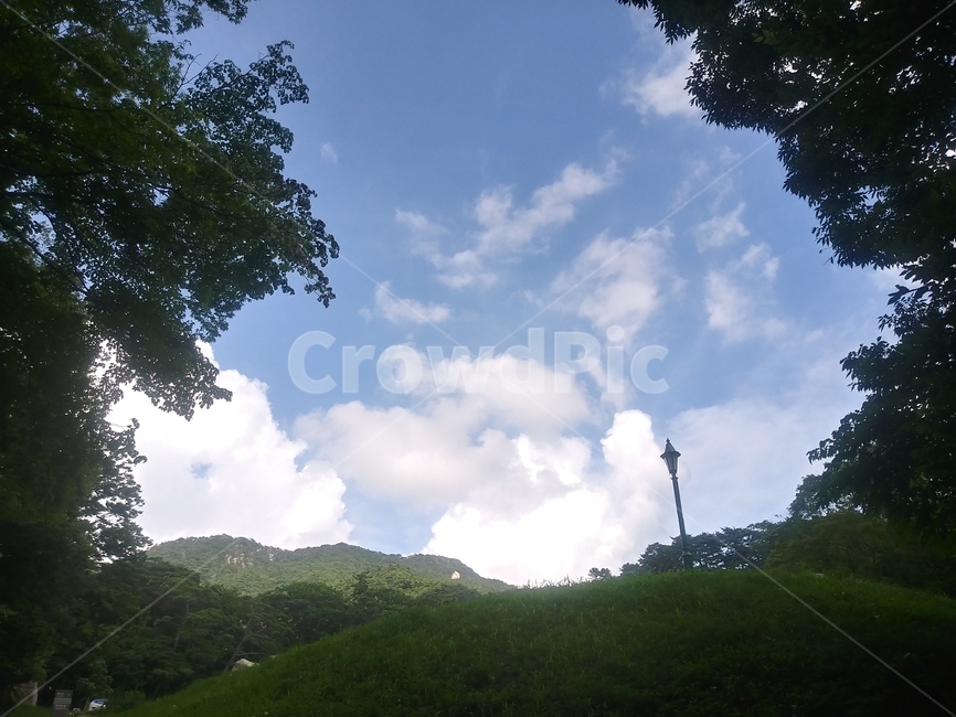 풍경,파랑,환경,녹색,숲,식물,하늘,구름,생태,아름다움,배경,빛,야외,자연,낮,푸른하늘,나무,봄,여름,가을,겨울,산,landscape,blue,environment,green,forest,plant,tree,sky,cloud,ecology,beauty,background,light,outdoor,nature,day,bluesky,trees,mountains