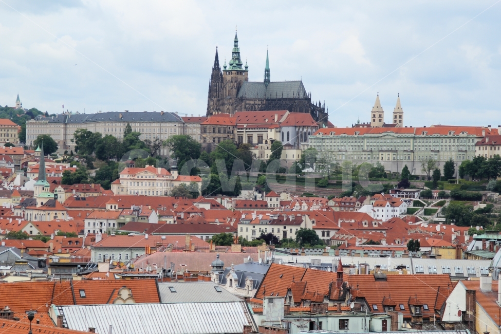 체코,프라하,성비투스대성당,성당,대성당,비투스,동유럽,유럽여행,웅장한,랜드마크,빌딩,건축,건축물,종교,유산,문화,문화유산,프라하성,유명,명소,관광명소,올드타운,구시가지,붉은,지붕,전경,흐린,우울한,우중충한,유럽,여행지,관광,관광지,고딕,고딕양식,도시,풍경,city,landscape,해외,외국,세계,foreign,oversea,world,랜드마크,landmark,tourist attraction,종교,신앙,religion,belief,faith,roof