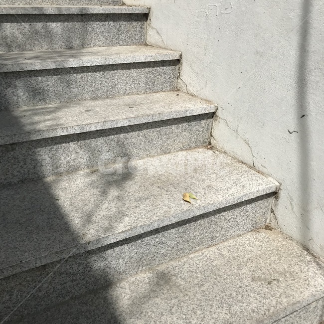 계단,잎,떨어진잎,그림자,균열,사물,물건,오브젝트,thing,object,matter