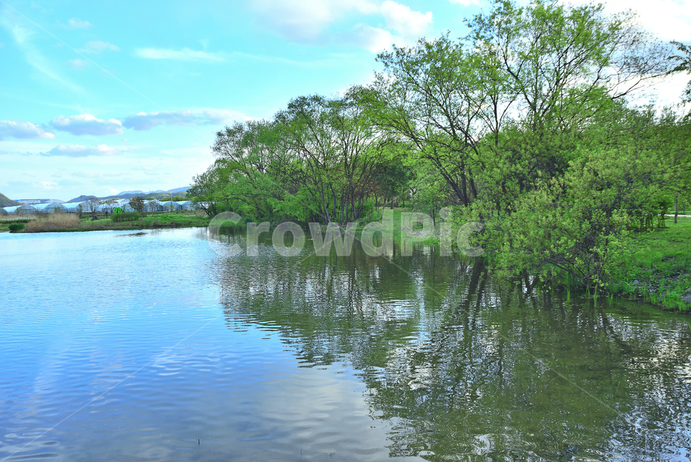한국자연경관,호수,호숫가,물,자연,나무,힐링,숲,그린,초록,녹색,반영,수목,초록색,네추럴,야외,옥외,아웃도어,배경,바탕,백그라운드,green,plant,tree,nature,식물,계절,시즌,산,파란하늘,weather,날씨,환경,능선,outdoors,water,뭉게구름,맑은,클린,오염없는,투명한