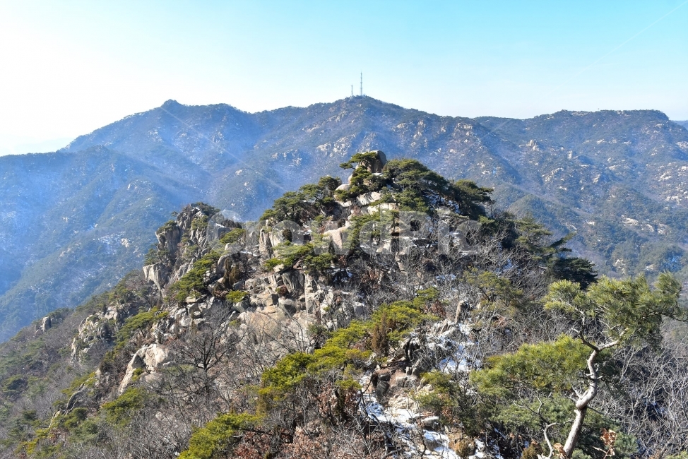 관악산,풍경,겨울,자연,눈,스포츠,등산,산행,nature,snow,겨울풍경,느낌,아름다운,신비로운,경이로운,기암,바위,암봉,암릉,다큐,필,힐링,명산,landscape,winter,season,트레킹,100대명산,인기명산,조망,전망,정부청사,6봉,수목원능선,바윗길,암릉길,명품송,소나무,한국자연풍경,한국자연경관,korea,관양능선,팔봉능선,국기봉,겨울,계절,winter,season,자연,풍경,nature,landscape,한국자연풍경,한국자연경관,korea nature landscape,slope,경사,mountain,산,outdoors,옥외,mountain range,산맥